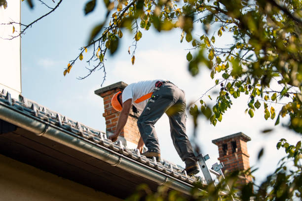 Best New Roof Installation  in Cozad, NE