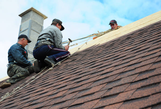 Best Gutter Installation and Roofing  in Cozad, NE